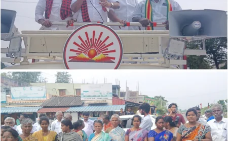 பெண்களுக்கு பாதுகாப்பான ஆட்சி திமுக..! பாப்பிரெட்டிப்பட்டியில் உதயசூரியன் சின்னத்தில் வாக்களிக்க தீவர பிரச்சாரம் செய்து வருகிறார் பி.பழனியப்பன்
